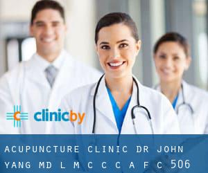 Acupuncture Clinic-Dr John Yang MD - L M C C-C A F C - 506-648-0606 (Saint John)