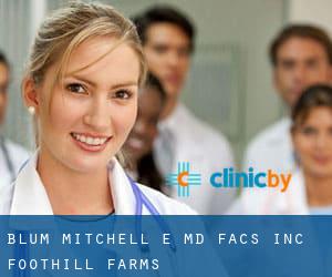 Blum Mitchell E MD Facs Inc (Foothill Farms)