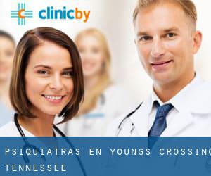 Psiquiátras en Youngs Crossing (Tennessee)