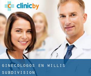 Ginecólogos en Willis Subdivision