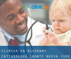 clínica en Allegany (Cattaraugus County, Nueva York)