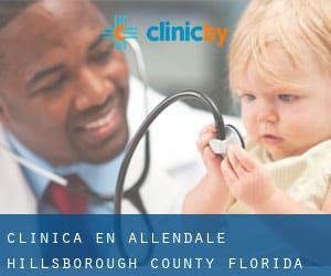 clínica en Allendale (Hillsborough County, Florida)