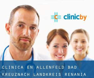 clínica en Allenfeld (Bad Kreuznach Landkreis, Renania-Palatinado)