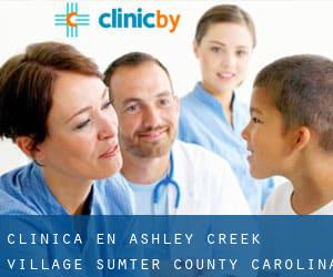 clínica en Ashley Creek Village (Sumter County, Carolina del Sur)
