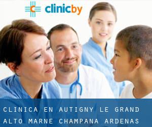 clínica en Autigny-le-Grand (Alto Marne, Champaña-Ardenas)