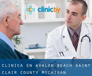 clínica en Avalon Beach (Saint Clair County, Michigan)