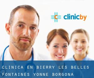 clínica en Bierry-les-Belles-Fontaines (Yonne, Borgoña)