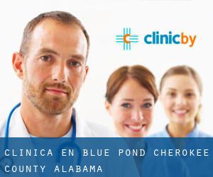 clínica en Blue Pond (Cherokee County, Alabama)