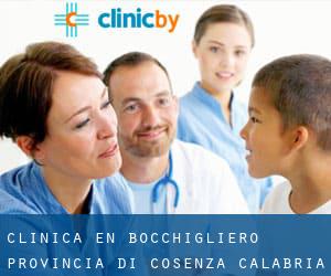 clínica en Bocchigliero (Provincia di Cosenza, Calabria)