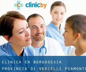 clínica en Borgosesia (Provincia di Vercelli, Piamonte)