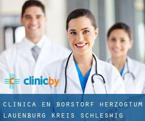 clínica en Borstorf (Herzogtum Lauenburg Kreis, Schleswig-Holstein)