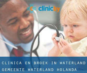 clínica en Broek in Waterland (Gemeente Waterland, Holanda Septentrional)