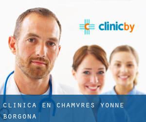 clínica en Chamvres (Yonne, Borgoña)