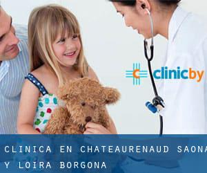 clínica en Châteaurenaud (Saona y Loira, Borgoña)