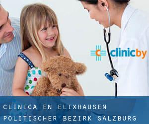 clínica en Elixhausen (Politischer Bezirk Salzburg Umgebung, Salzburg)