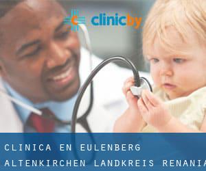 clínica en Eulenberg (Altenkirchen Landkreis, Renania-Palatinado)