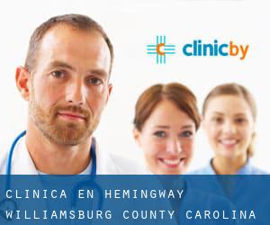 clínica en Hemingway (Williamsburg County, Carolina del Sur)