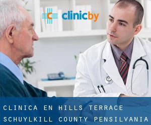 clínica en Hills Terrace (Schuylkill County, Pensilvania)