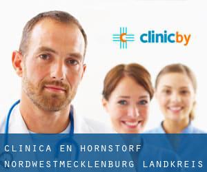 clínica en Hornstorf (Nordwestmecklenburg Landkreis, Mecklemburgo-Pomerania Occidental)