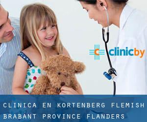clínica en Kortenberg (Flemish Brabant Province, Flanders)