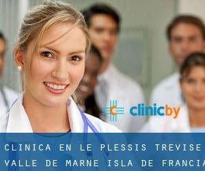 clínica en Le Plessis-Trévise (Valle de Marne, Isla de Francia)