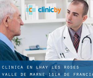 clínica en L'Haÿ-les-Roses (Valle de Marne, Isla de Francia)