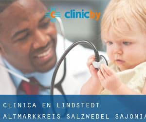 clínica en Lindstedt (Altmarkkreis Salzwedel, Sajonia-Anhalt)