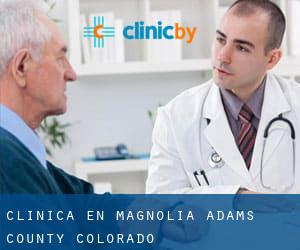 clínica en Magnolia (Adams County, Colorado)