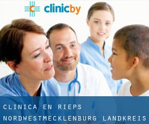 clínica en Rieps (Nordwestmecklenburg Landkreis, Mecklemburgo-Pomerania Occidental)