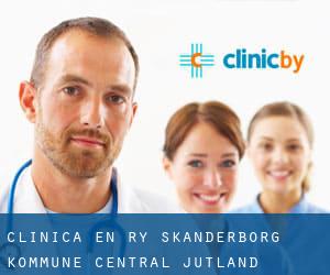 clínica en Ry (Skanderborg Kommune, Central Jutland)