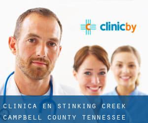 clínica en Stinking Creek (Campbell County, Tennessee)