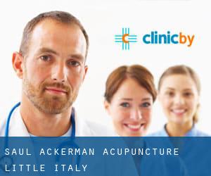 Saul Ackerman Acupuncture (Little Italy)